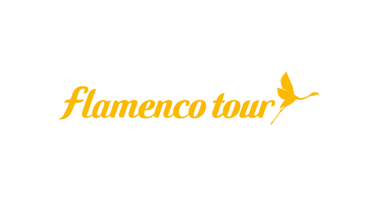 FLAMENCO TOUR
